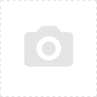 Kleier