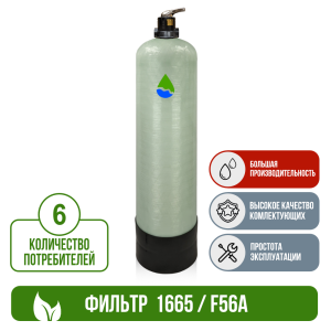Фильтр обезжелезивания, сорбции воды Runxin 1665/F56A